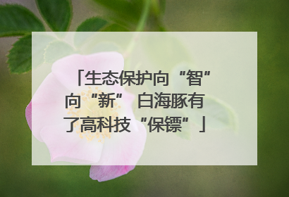 生态保护向“智”向“新” 白海豚有了高科技“保镖”