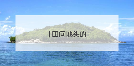 田间地头的“芯”动能