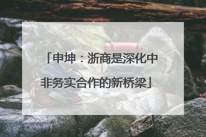 申坤：浙商是深化中非务实合作的新桥梁