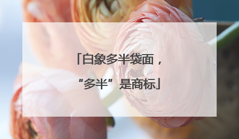 白象多半袋面，“多半”是商标