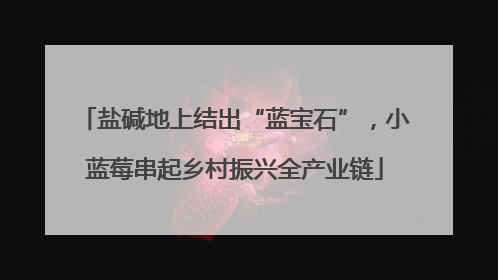 盐碱地上结出“蓝宝石”，小蓝莓串起乡村振兴全产业链