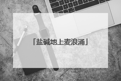 盐碱地上麦浪涌