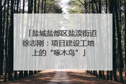 盐城盐都区盐渎街道徐志刚：项目建设工地上的“啄木鸟”