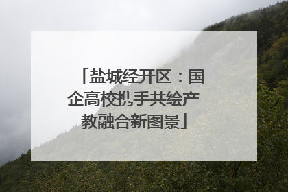 盐城经开区：国企高校携手共绘产教融合新图景