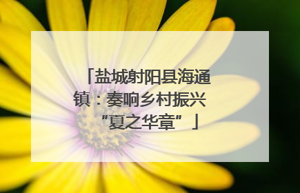 盐城射阳县海通镇：奏响乡村振兴“夏之华章”