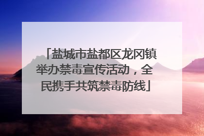 盐城市盐都区龙冈镇举办禁毒宣传活动，全民携手共筑禁毒防线