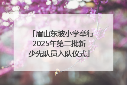 眉山东坡小学举行2025年第二批新少先队员入队仪式