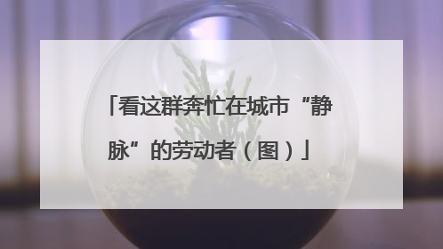 看这群奔忙在城市“静脉”的劳动者（图）