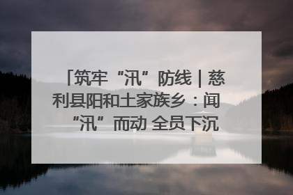 筑牢“汛”防线｜慈利县阳和土家族乡：闻“汛”而动 全员下沉筑牢防汛“安全堤”