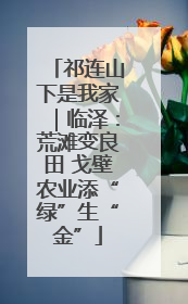 祁连山下是我家｜临泽：荒滩变良田 戈壁农业添“绿”生“金”