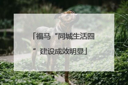 福马“同城生活圈”建设成效明显