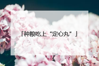 种粮吃上“定心丸”