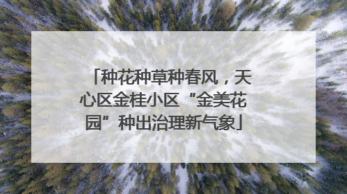 种花种草种春风，天心区金桂小区“金美花园”种出治理新气象