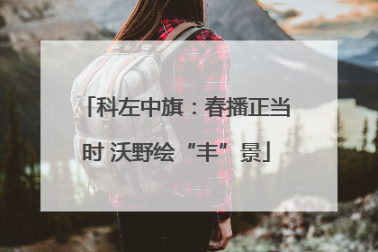 科左中旗：春播正当时 沃野绘“丰”景
