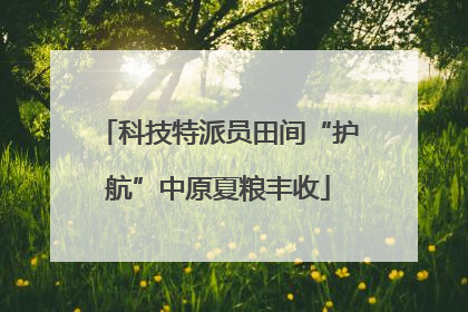 科技特派员田间“护航”中原夏粮丰收