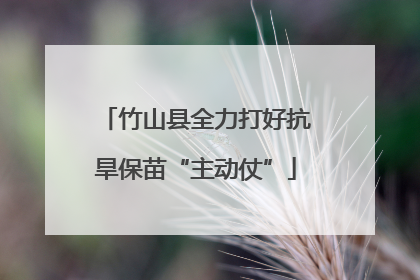 竹山县全力打好抗旱保苗“主动仗”