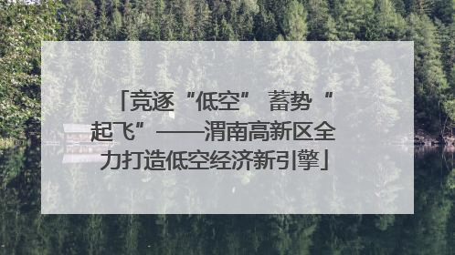 竞逐“低空” 蓄势“起飞”——渭南高新区全力打造低空经济新引擎