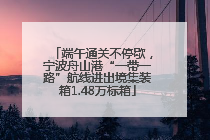 端午通关不停歇，宁波舟山港“一带一路”航线进出境集装箱1.48万标箱