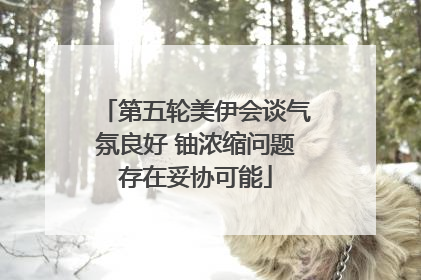 第五轮美伊会谈气氛良好 铀浓缩问题存在妥协可能