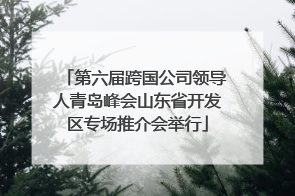 第六届跨国公司领导人青岛峰会山东省开发区专场推介会举行
