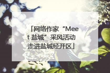 网络作家“Meet 盐城”采风活动走进盐城经开区