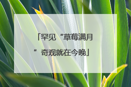 罕见“草莓满月”奇观就在今晚
