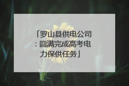 罗山县供电公司：圆满完成高考电力保供任务