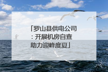 罗山县供电公司：开展机房自查 助力迎峰度夏