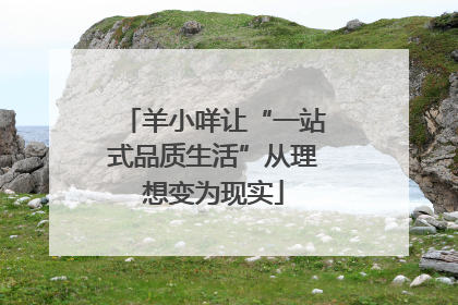 羊小咩让“一站式品质生活”从理想变为现实