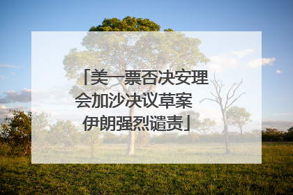 美一票否决安理会加沙决议草案 伊朗强烈谴责