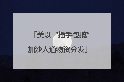 美以“插手包揽”加沙人道物资分发