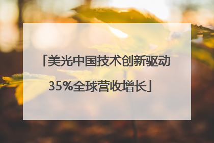 美光中国技术创新驱动35%全球营收增长