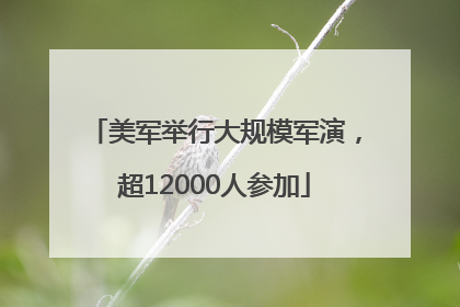 美军举行大规模军演，超12000人参加