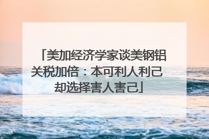 美加经济学家谈美钢铝关税加倍：本可利人利己 却选择害人害己
