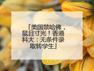 美国禁哈佛，鼠目寸光！香港科大：无条件录取转学生