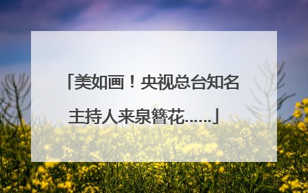 美如画！央视总台知名主持人来泉簪花……
