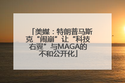 美媒：特朗普马斯克“闹崩”让“科技右翼”与MAGA的不和公开化