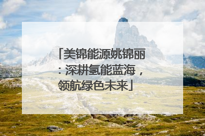 美锦能源姚锦丽：深耕氢能蓝海，领航绿色未来