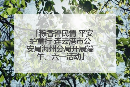粽香警民情 平安护童行 连云港市公安局海州分局开展端午、六一活动
