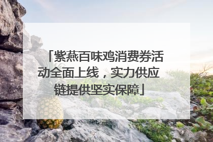 紫燕百味鸡消费券活动全面上线，实力供应链提供坚实保障