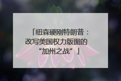 纽森硬刚特朗普：改写美国权力版图的 “加州之战”