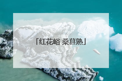 红花峪 桑葚熟