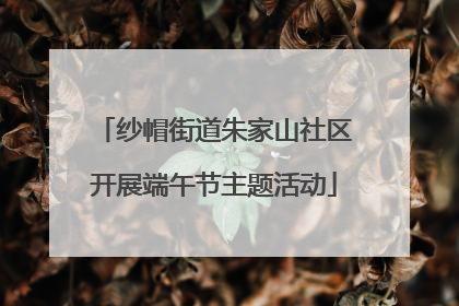 纱帽街道朱家山社区开展端午节主题活动