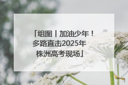 组图丨加油少年！多路直击2025年株洲高考现场