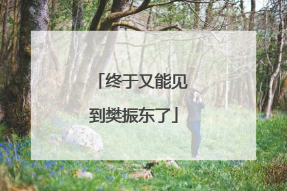 终于又能见到樊振东了