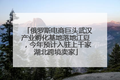 俄罗斯电商巨头武汉产业孵化基地落地江夏，今年预计入驻上千家湖北跨境卖家