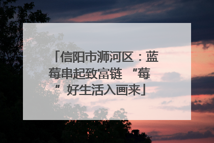 信阳市浉河区：蓝莓串起致富链 “莓”好生活入画来