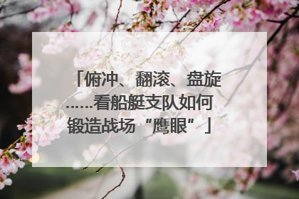 俯冲、翻滚、盘旋……看船艇支队如何锻造战场“鹰眼”