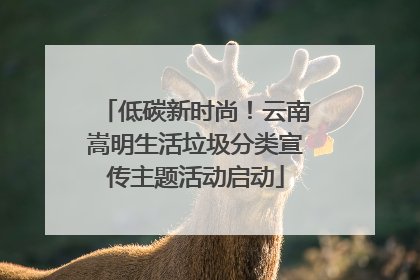 低碳新时尚！云南嵩明生活垃圾分类宣传主题活动启动