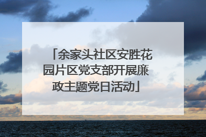 余家头社区安胜花园片区党支部开展廉政主题党日活动